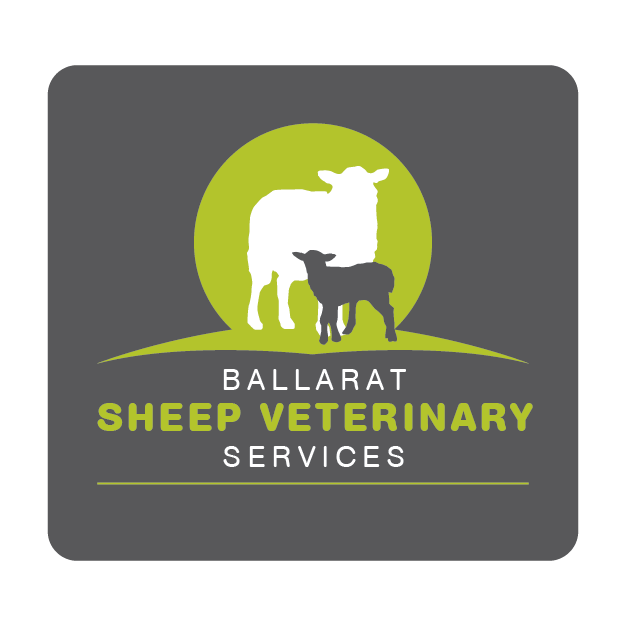 Ballarat Sheep Veterinary Services